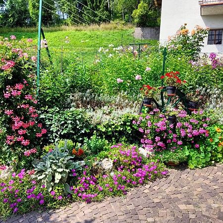 カラーノ La Cesura Bed & Breakfast エクステリア 写真